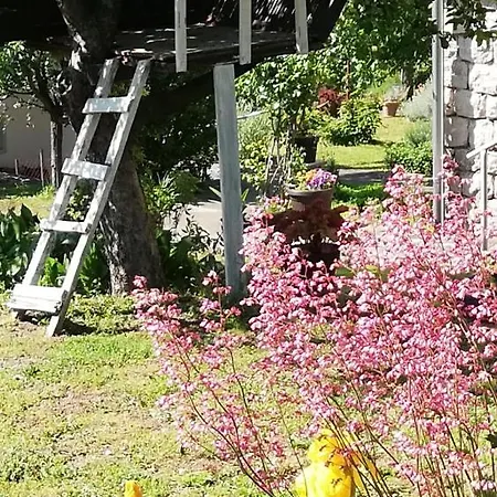 Jazz * Голубац