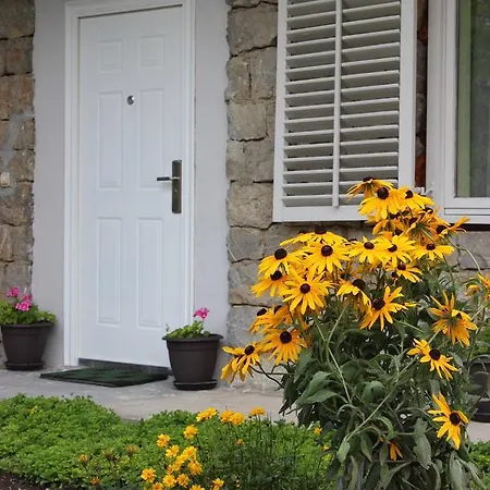 Апартаменты Jazz