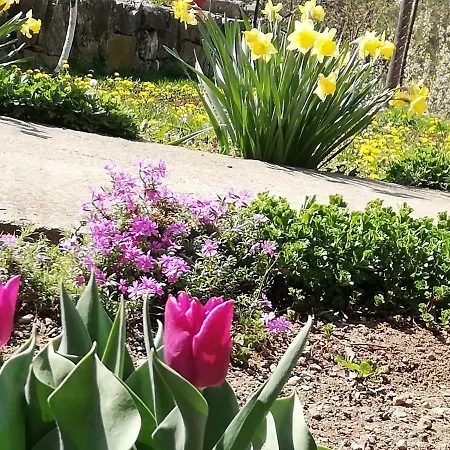 Jazz Апартаменты Голубац