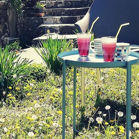 Jazz Апартаменты