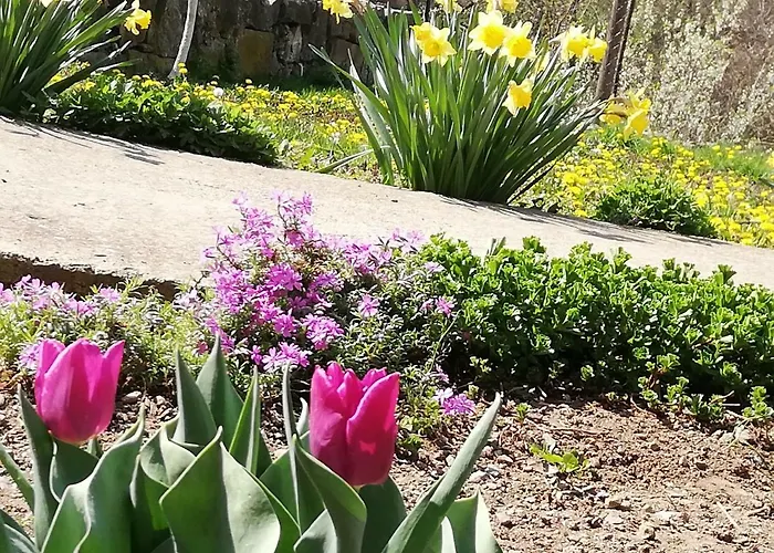 Jazz شقة جولوباك